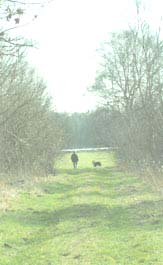 Platzhalter-Bild
